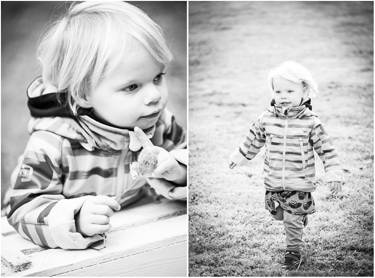 collage_herbstaktion_26